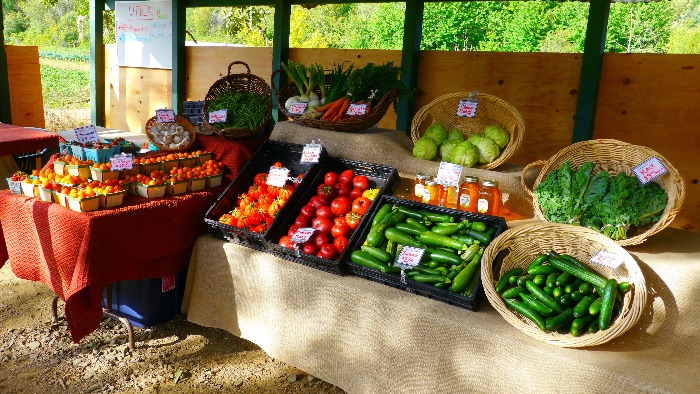 Harvest Time – get your fruits & vegetables today!
