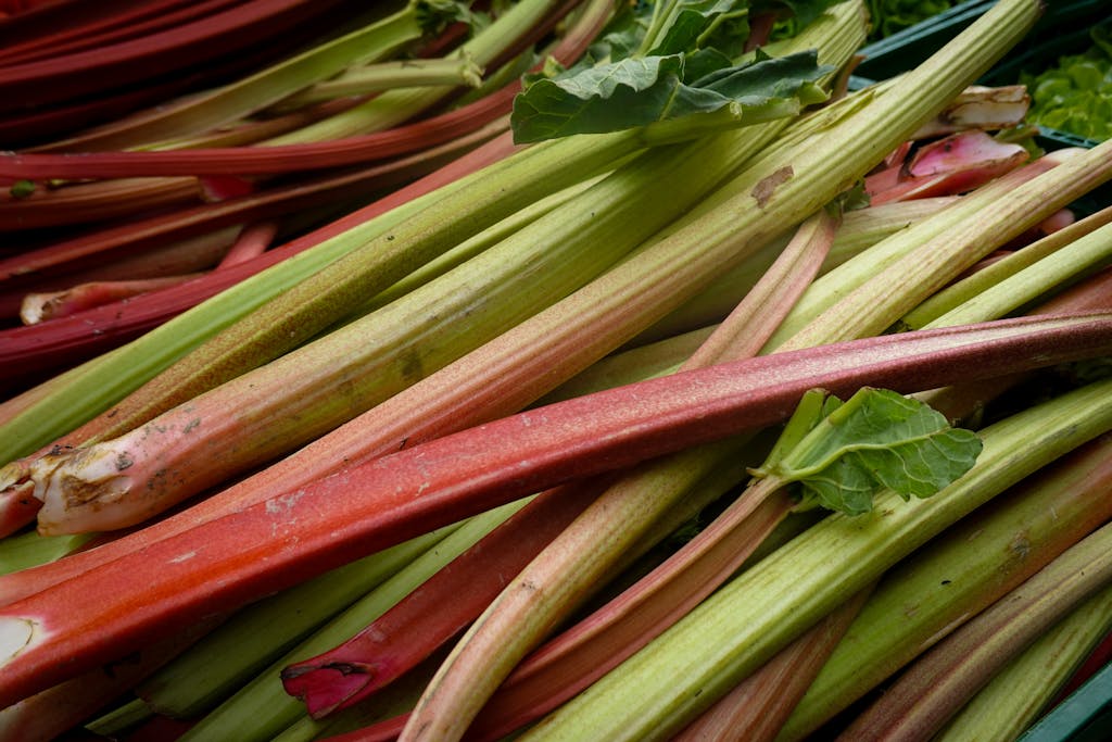 Vibrant and fresh rhubarb stalks displayed at a market, showcasing natural colors and textures.